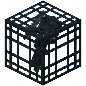 Wither Skeleton Spawner